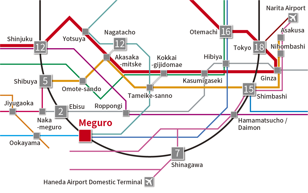 Tokyo main area route map